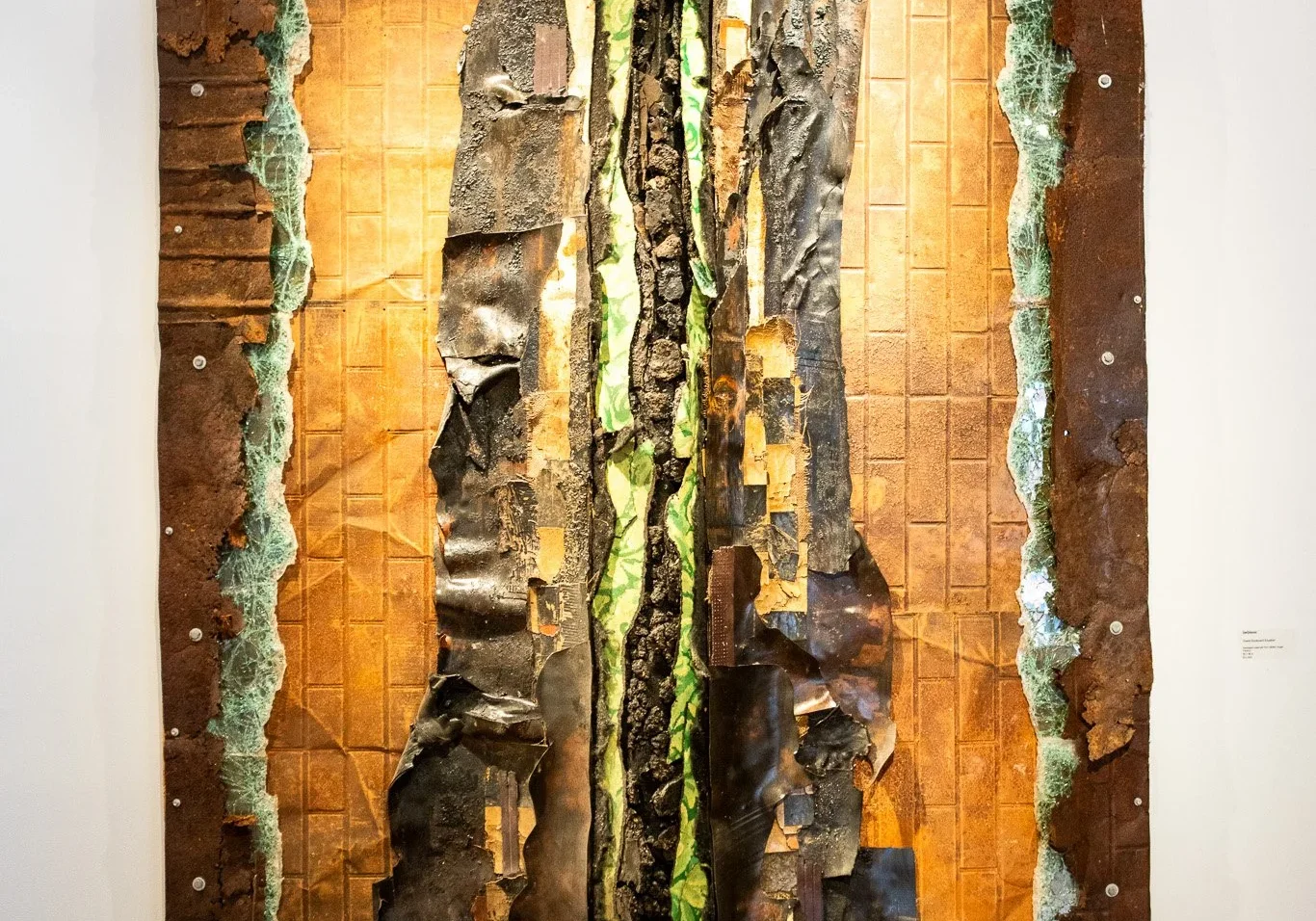_DSC6220